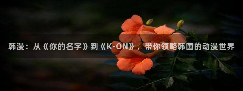 香蕉文化免费漫画在线阅读怎么用：韩漫：从《你的名字》到《K-ON》，带你领略韩国的动漫世界