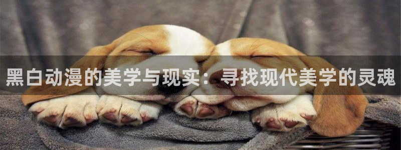 香蕉文化漫画书平台官网：黑白动漫的美学与现实：寻找现代美学的灵魂