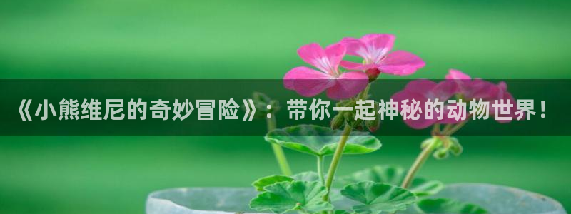 香蕉漫画入：《小熊维尼的奇妙冒险》：带你一起神秘的动物世界！