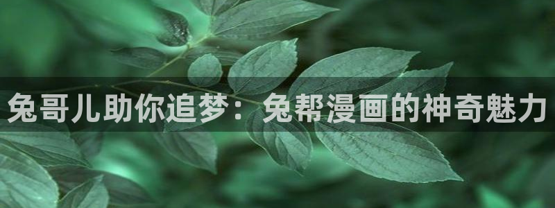 香蕉羞羞漫画：兔哥儿助你追梦：兔帮漫画的神奇魅力