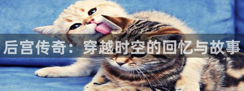 香蕉漫画男男：后宫传奇：穿越时空的回忆与故事