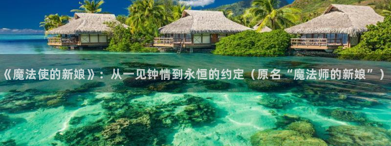香蕉漫画的：《魔法使的新娘》：从一见钟情到永恒的约定（原名“魔法师的新娘”）