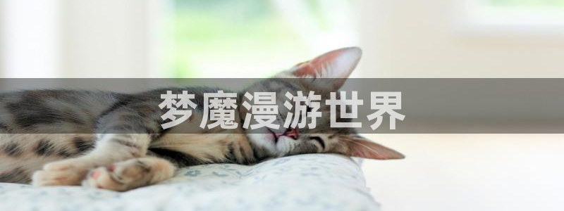 香蕉漫画本子：梦魔漫游世界