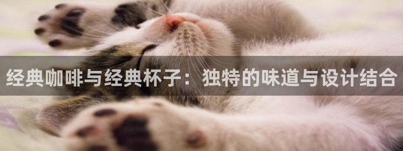 香蕉漫画如何免费获得阅读币：经典咖啡与经典杯子：独特的味道与设计结合