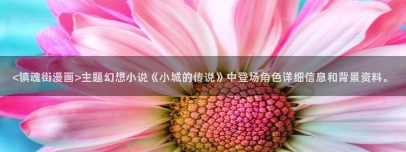 香蕉漫画在线看漫画免费阅读：<镇魂街漫画>主题幻想小说《小城的传说》中登场角色详细信息和背景资料。
